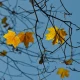 November mood
