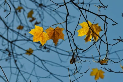 November mood