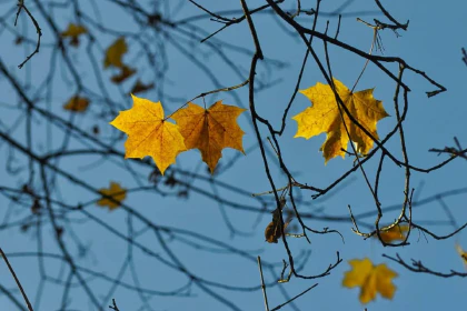 November mood