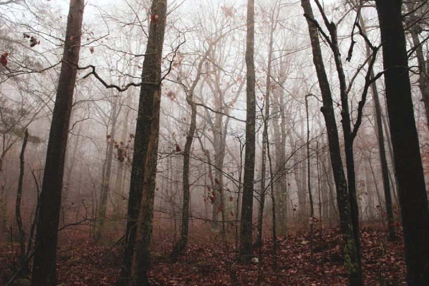 November mood