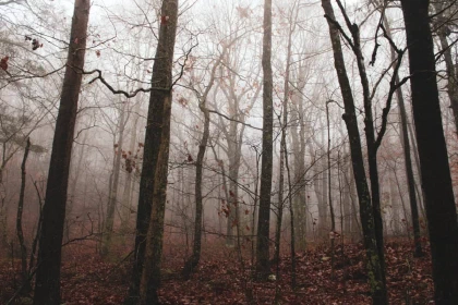 November mood