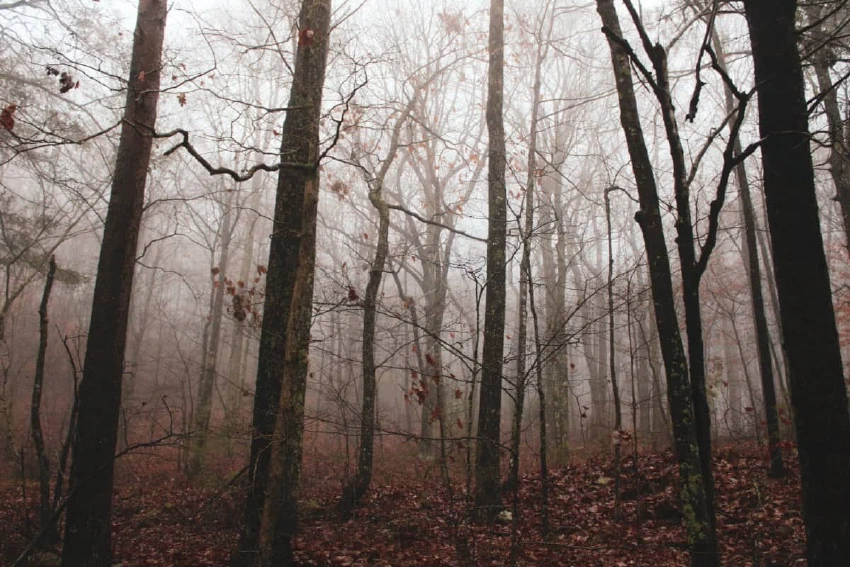 November mood