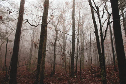 November mood